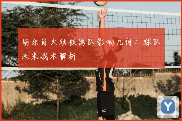 胡尔肖夫助教离队影响几何？球队未来战术解析