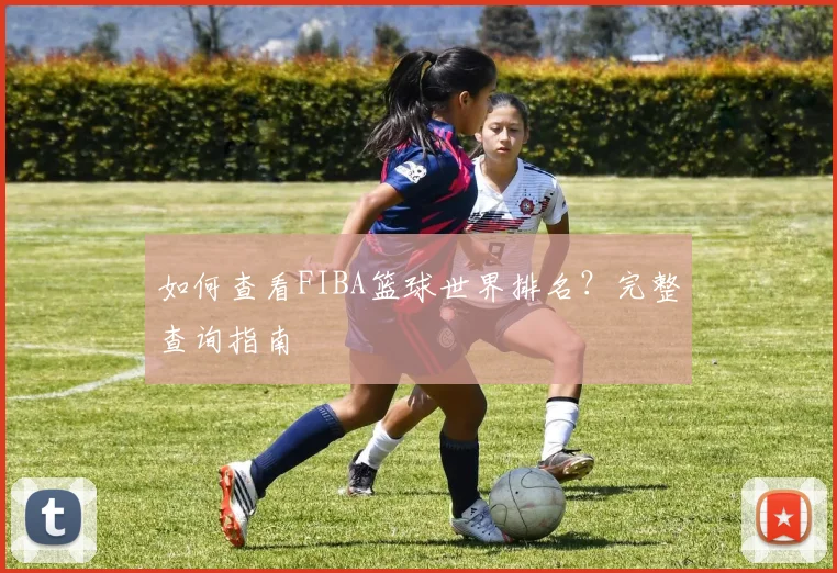 如何查看FIBA篮球世界排名?完整查询指南